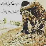 Mohammadreza1276