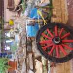 Abooreyhan