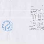 fhjavadian