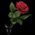 Sajjad_h