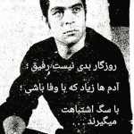 mohamadz1000