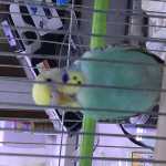 hzmobin