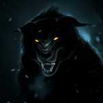 zeuser