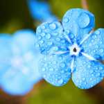 mostafa137711