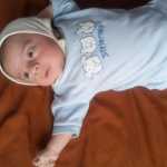 miladgorgin