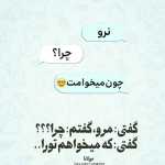 XNarges1