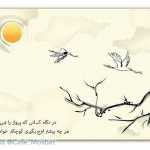 Navid566