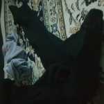 Samad