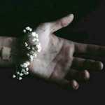 Torkan_h