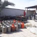 mamal601
