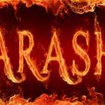arasharsh911