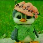 6eytun
