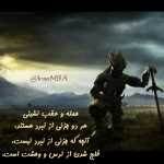 Aligorg