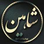 Shahinvv
