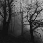 Amirsh1378