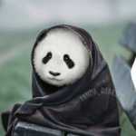 Ali_666