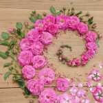 Kiya_598