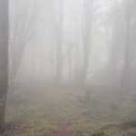 Mohammad_e1i