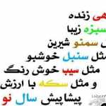 amir572339