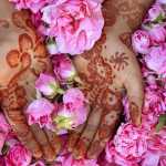 amirali136281