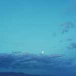 Majid7656