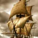 Bardia35