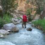 Amir_arsalan