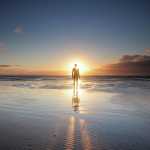 Free_life