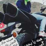 Radin_