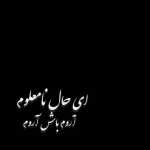 farnaz_am