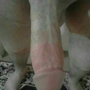 Post 6424