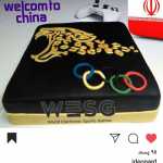 Hossein1354