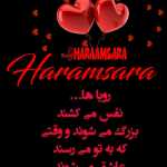 mahmoodmator