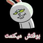 bahman13