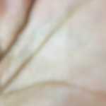 Shahin2324