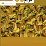 Rasool1234