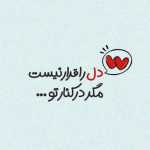 ABOali