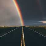Majid_hed