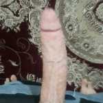 ali_koloft_kir