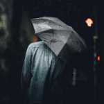 mojtaba6699