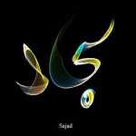 sajedy