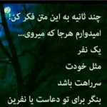 Mehrshad7980