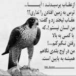 Behitala
