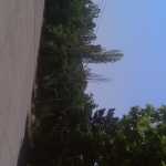 hosein30