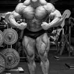 armangym