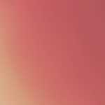 Morteza7980