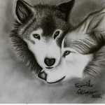 hosein3xxx3
