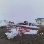 arya_1380