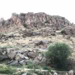 zarbdarikhas