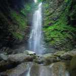 Jason_parker2